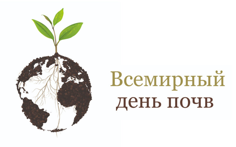 5 декабря – международный день сохранения почв